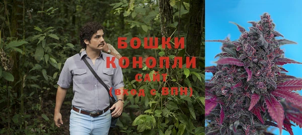 apvp Краснослободск